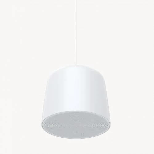 C1511 Network Pendant Speaker